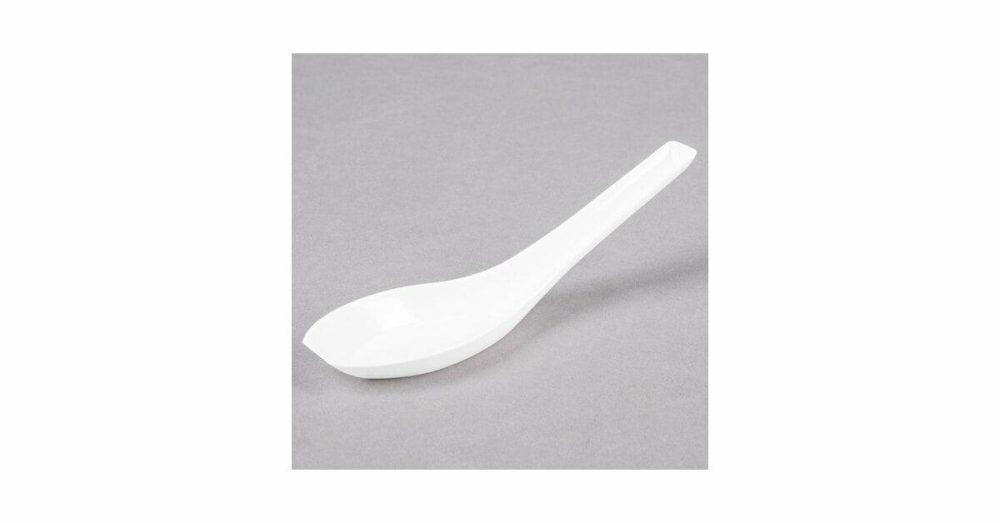 Disposable Chinese / Asian Spoons |  Aptasia2 Petites 5" White Asian Soup Spoon – 200/Case