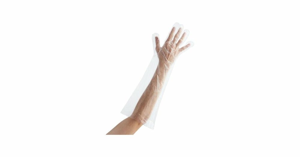 Disposable Gloves |  Choice 2" Elbow-Length Ldpe Glove – 1/Case