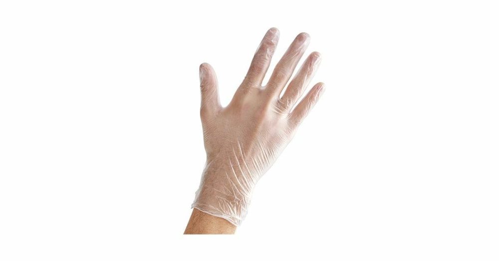 Disposable Gloves |  Powder-Free Disposable Vinyl Gloves For Foodservice – 100/Box