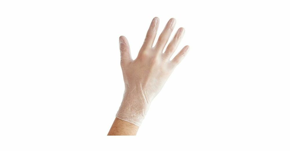 Disposable Gloves |  Powdered Disposable Vinyl Gloves For Foodservice – 100/Box