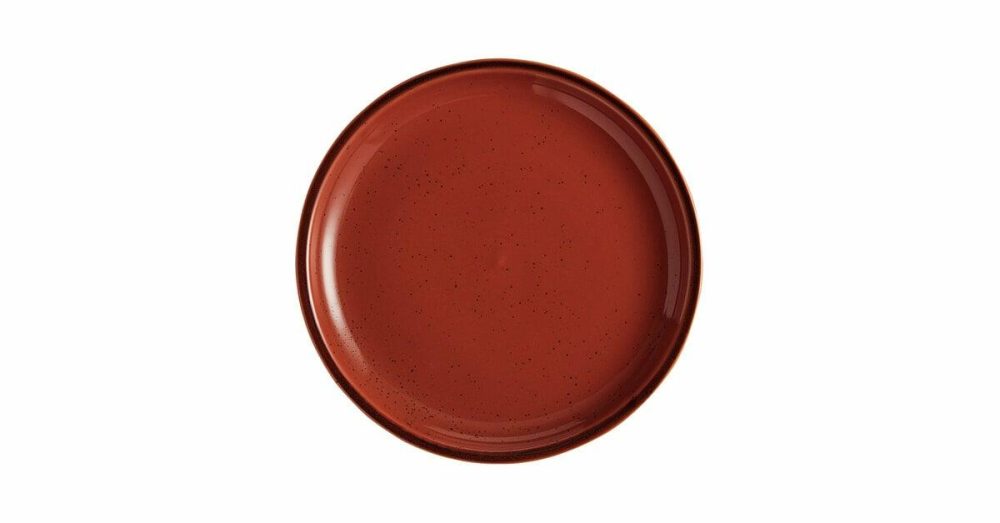 Porcelain Plates |  Pangea 10 1/2" Terra Cotta Matte Coupe Porcelain Plate – 12/Case