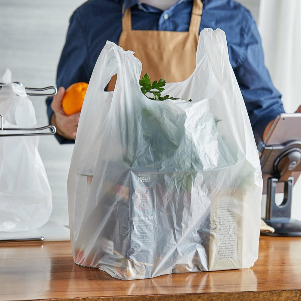 Take-Out Bags |  1/5 Large Size White Unprinted Medium-Duty T-Shirt Bag – 500/Case