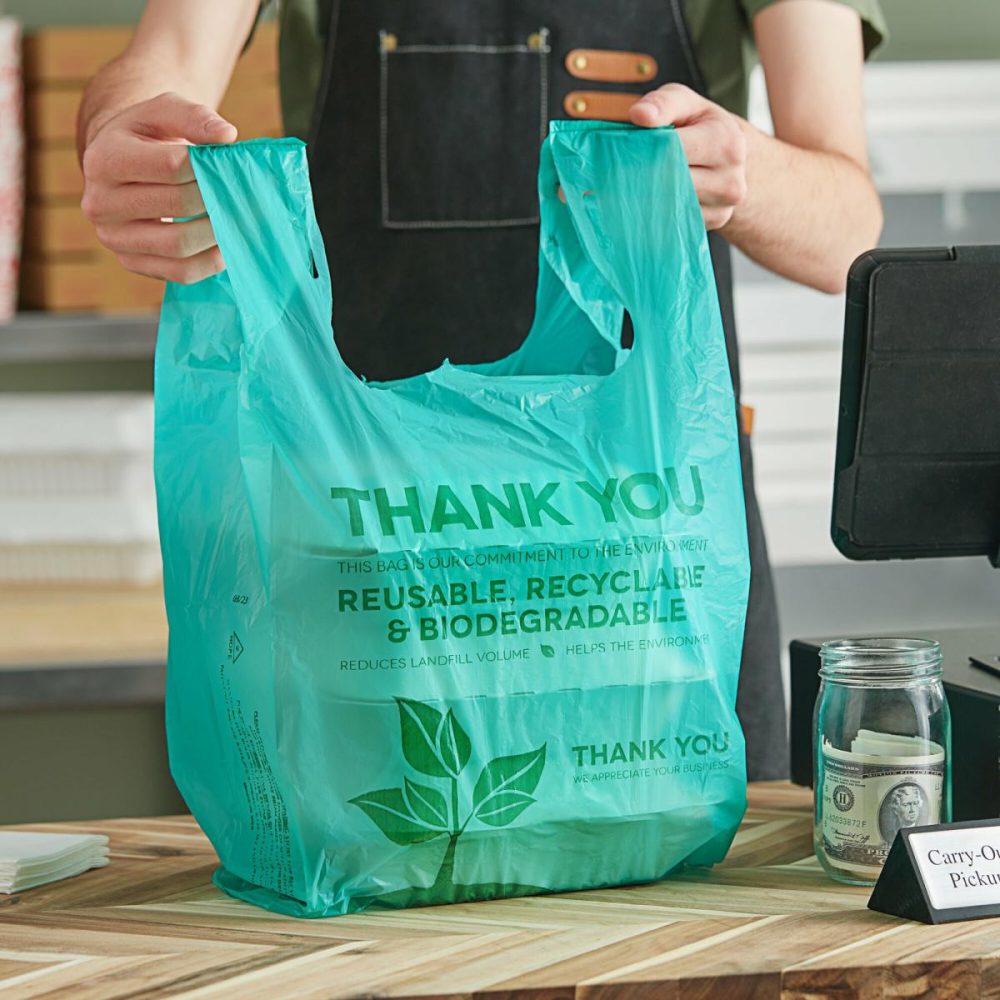 Take-Out Bags |  1/6 Standard Size Biodegradable Standard-Duty Plastic T-Shirt Bag – 500/Case