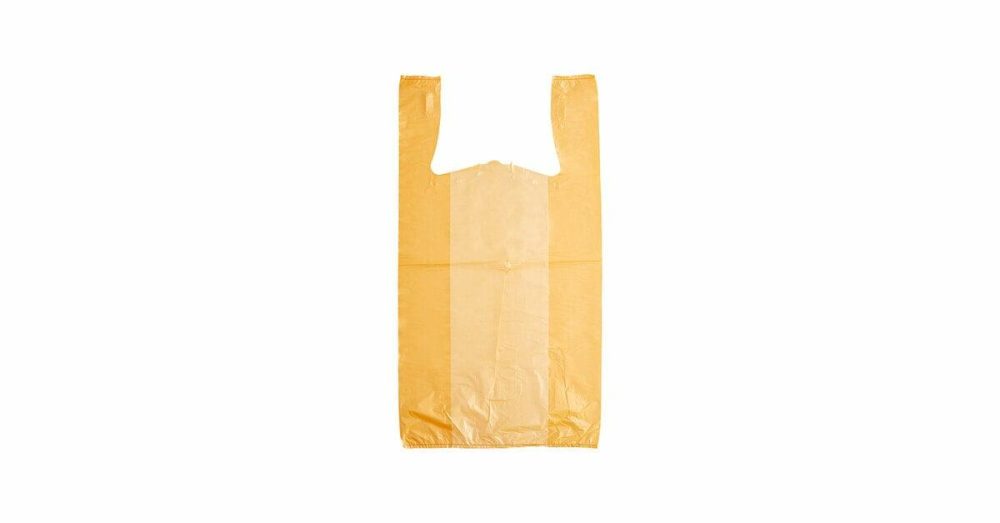 Take-Out Bags |  1/6 Standard Size Orange Unprinted Standard-Duty Plastic T-Shirt Bag – 1000/Case