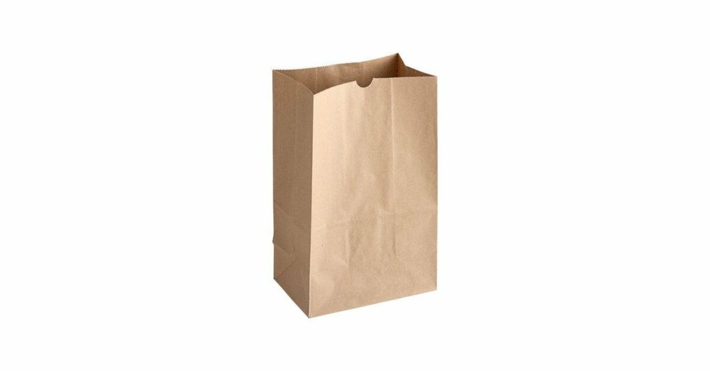 Take-Out Bags |  20 Lb. Shorty Extra Heavy-Duty Natural Kraft Paper Bag – 400/Case